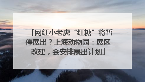 网红小老虎“红糖”将暂停展出？上海动物园：展区改建，会安排展出计划