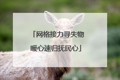 网格接力寻失物 暖心速归抚民心