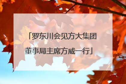 罗东川会见方大集团董事局主席方威一行