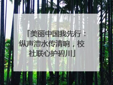 美丽中国我先行：纵声澧水传清响，校社联心护碧川