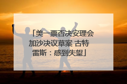 美一票否决安理会加沙决议草案 古特雷斯：感到失望