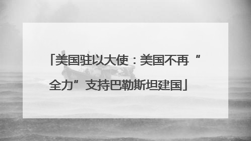 美国驻以大使：美国不再“全力”支持巴勒斯坦建国