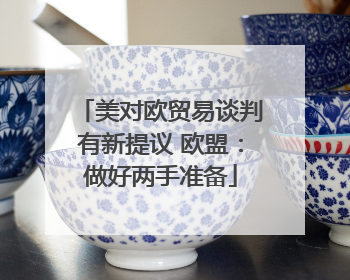 美对欧贸易谈判有新提议 欧盟：做好两手准备