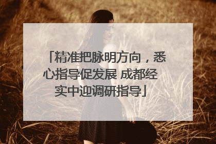 精准把脉明方向，悉心指导促发展 成都经实中迎调研指导