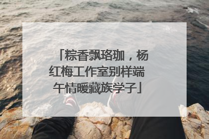 粽香飘珞珈，杨红梅工作室别样端午情暖藏族学子