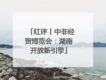 红评丨中非经贸博览会：湖南开放新引擎