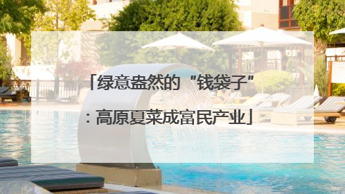绿意盎然的“钱袋子”：高原夏菜成富民产业