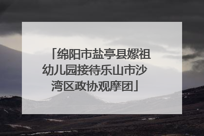 绵阳市盐亭县嫘祖幼儿园接待乐山市沙湾区政协观摩团