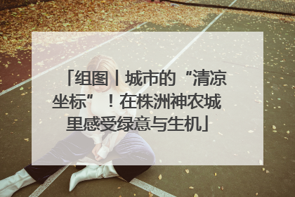 组图丨城市的“清凉坐标”！在株洲神农城里感受绿意与生机