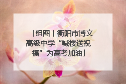 组图丨衡阳市博文高级中学“喊楼送祝福”为高考加油