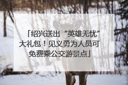 绍兴送出“英雄无忧”大礼包！见义勇为人员可免费乘公交游景点