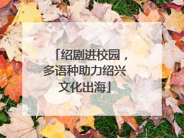 绍剧进校园，多语种助力绍兴文化出海