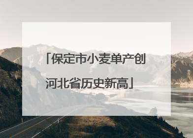 保定市小麦单产创河北省历史新高