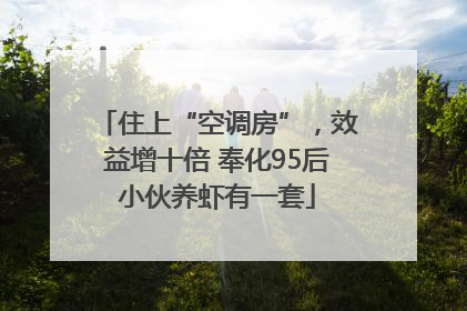 住上“空调房”，效益增十倍 奉化95后小伙养虾有一套
