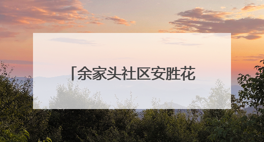 余家头社区安胜花园片区党支部开展廉政主题党日活动