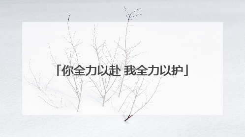 你全力以赴 我全力以护