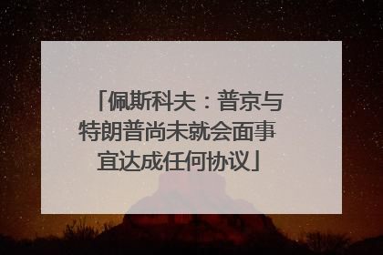 佩斯科夫：普京与特朗普尚未就会面事宜达成任何协议