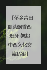 侨乡青田御茶飘香西班牙 架起中西文化交流桥梁