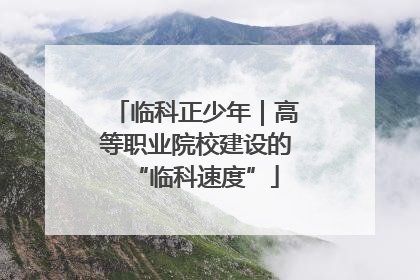 临科正少年｜高等职业院校建设的“临科速度”