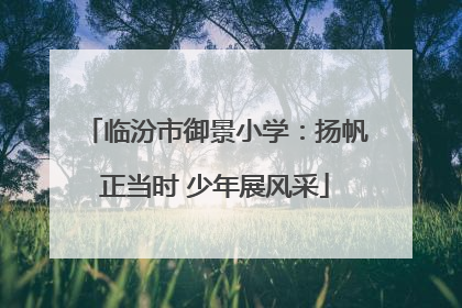 临汾市御景小学：扬帆正当时 少年展风采