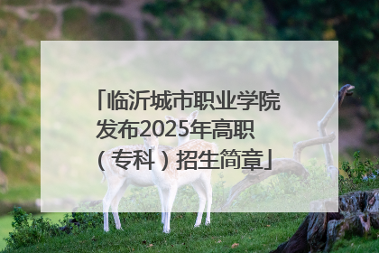 临沂城市职业学院发布2025年高职（专科）招生简章