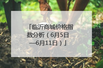 临沂商城价格指数分析（6月5日—6月11日）