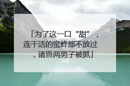 为了这一口“甜”，连干活的蜜蜂都不放过，诸暨两男子被抓