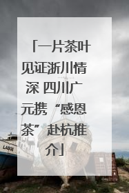 一片茶叶见证浙川情深 四川广元携“感恩茶”赴杭推介