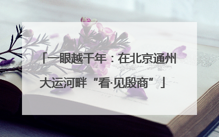 一眼越千年：在北京通州大运河畔“看·见殷商”