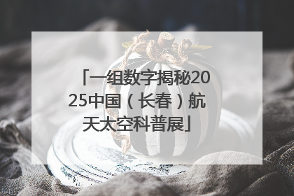一组数字揭秘2025中国（长春）航天太空科普展