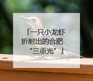 一只小龙虾折射出的合肥“三重光”