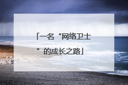 一名“网络卫士”的成长之路