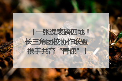 一张课表跨四地！长三角团校协作联盟携手共育“青课”