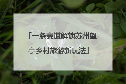 一条赛道解锁苏州望亭乡村旅游新玩法