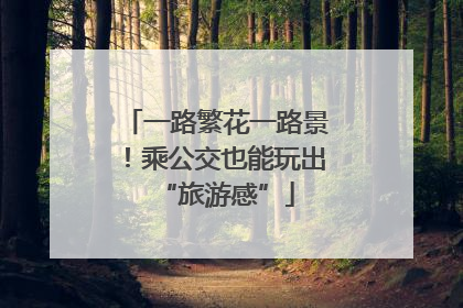 一路繁花一路景！乘公交也能玩出“旅游感”