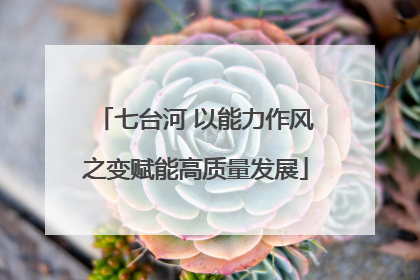 七台河 以能力作风之变赋能高质量发展