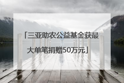 三亚助农公益基金获最大单笔捐赠50万元