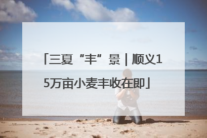 三夏“丰”景｜顺义15万亩小麦丰收在即