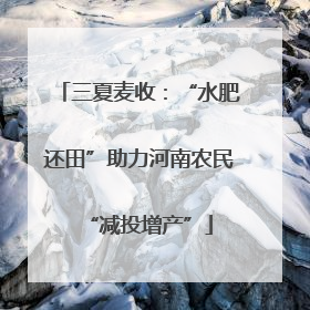 三夏麦收：“水肥还田”助力河南农民“减投增产”