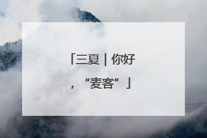 三夏｜你好，“麦客”