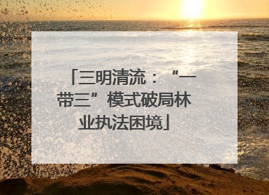 三明清流：“一带三”模式破局林业执法困境