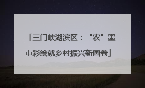 三门峡湖滨区：“农”墨重彩绘就乡村振兴新画卷