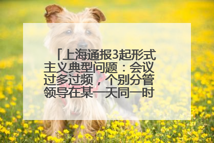上海通报3起形式主义典型问题：会议过多过频，个别分管领导在某一天同一时段需参加3个会议