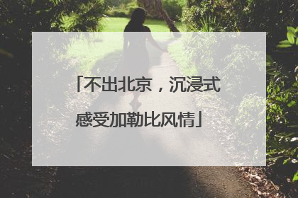 不出北京，沉浸式感受加勒比风情