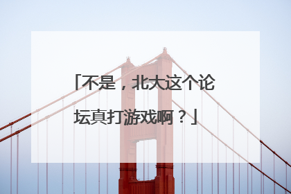 不是，北大这个论坛真打游戏啊？