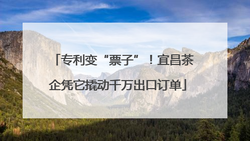 专利变“票子”！宜昌茶企凭它撬动千万出口订单