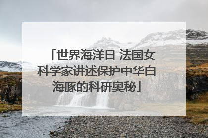 世界海洋日 法国女科学家讲述保护中华白海豚的科研奥秘