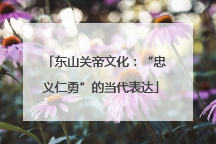 东山关帝文化：“忠义仁勇”的当代表达