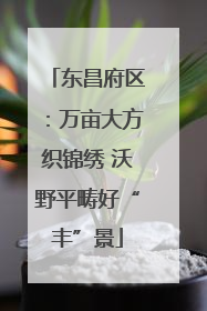 东昌府区：万亩大方织锦绣 沃野平畴好“丰”景