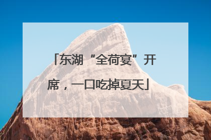 东湖“全荷宴”开席，一口吃掉夏天